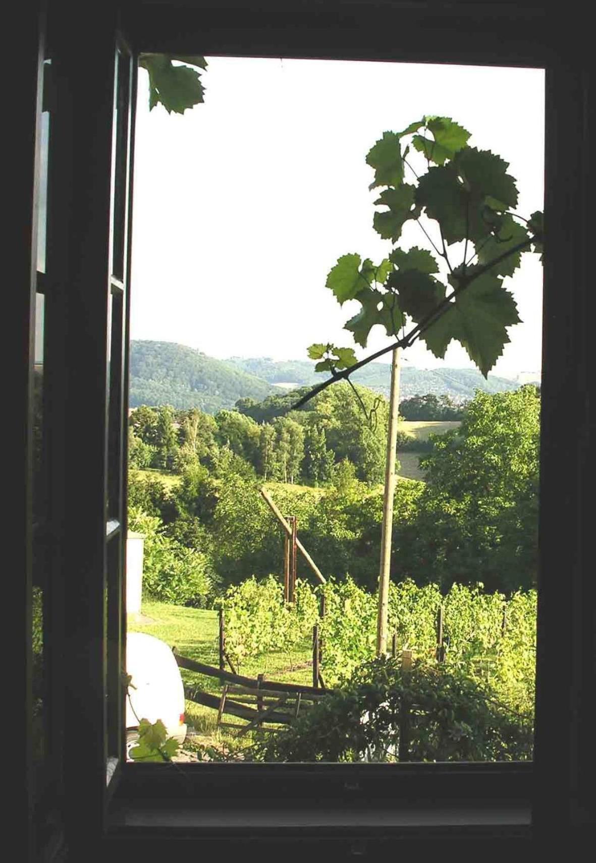 In Der Alten Weinstube ไฟร์ทาล ภายนอก รูปภาพ